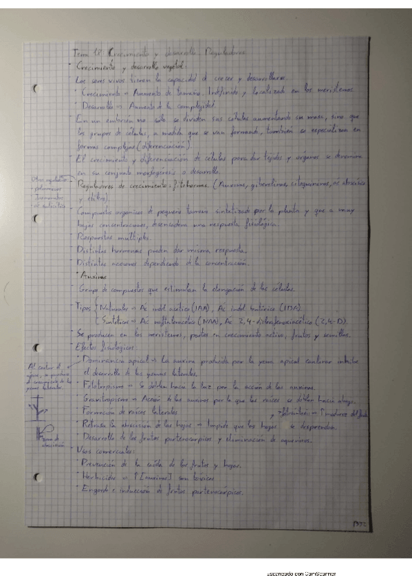 Miniatura del documento T18.pdf