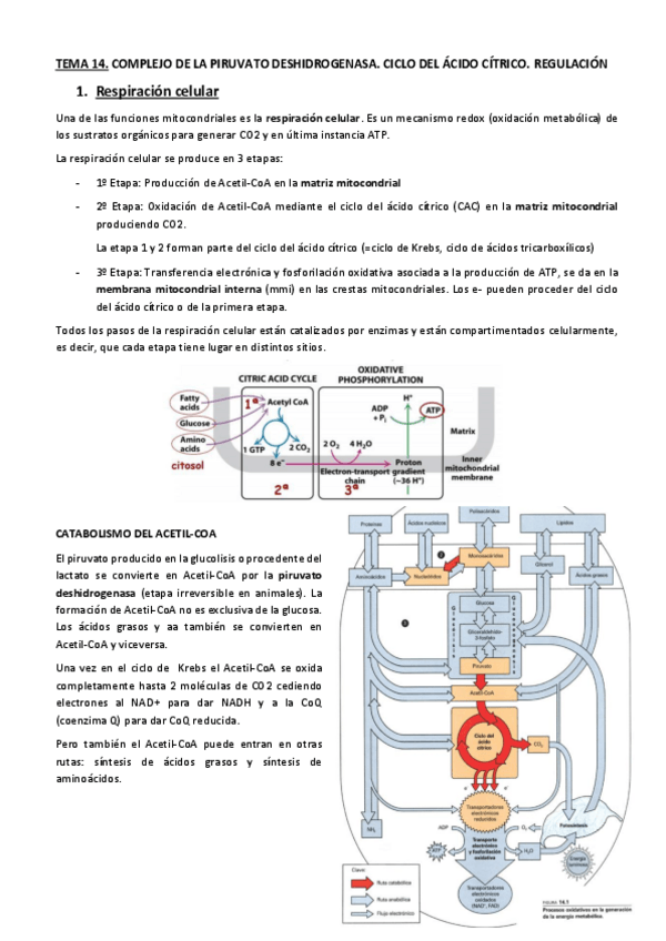 Miniatura del documento 14-17.pdf