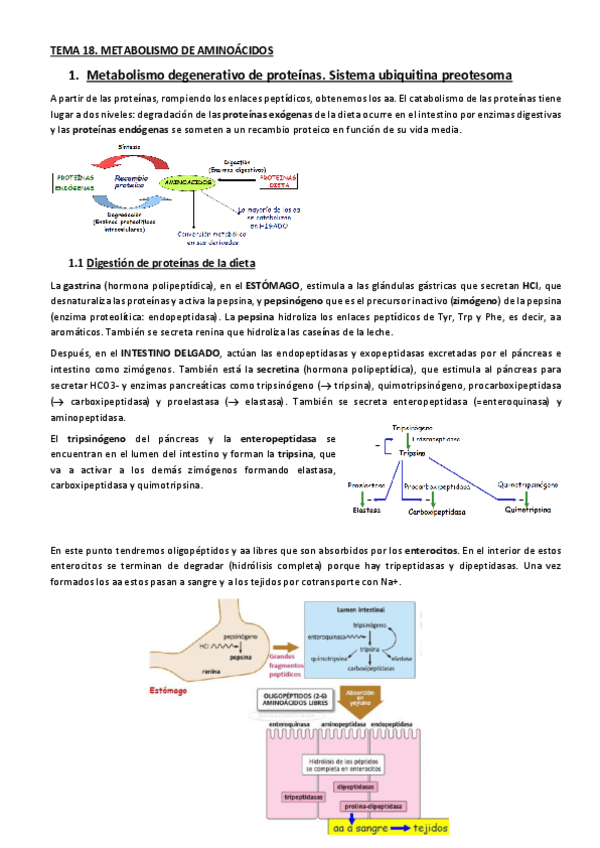 Miniatura del documento 18-22.pdf