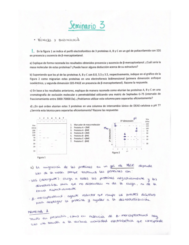 Miniatura del documento Sol-sem-3.pdf
