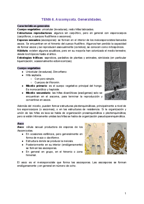 Miniatura del documento TEMA-6.pdf