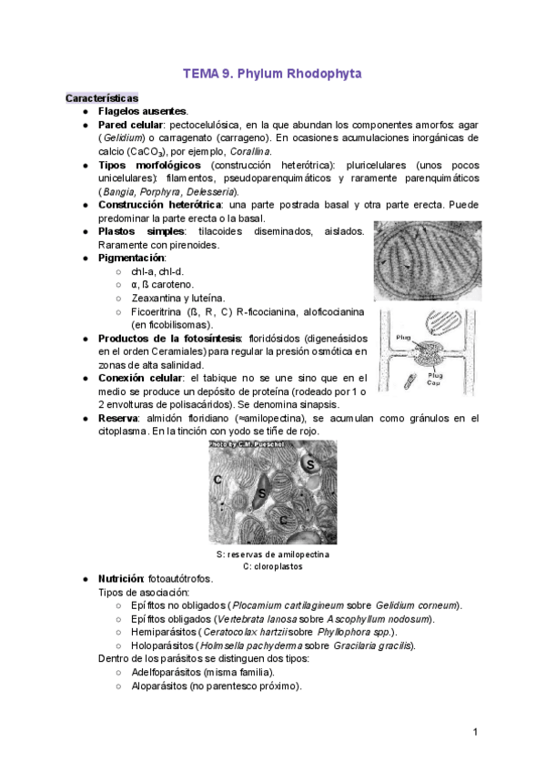Miniatura del documento TEMA-9.pdf