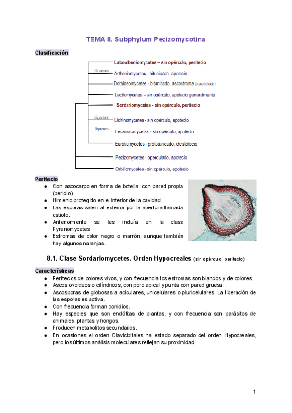 Miniatura del documento TEMA-8.pdf