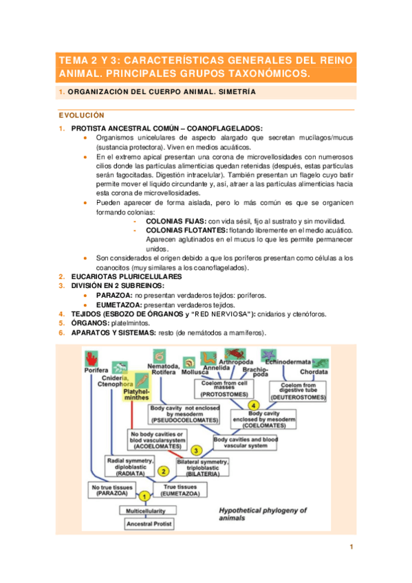 Miniatura del documento TEMA-2.pdf