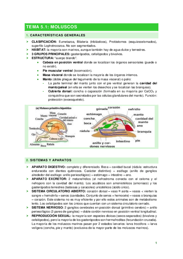 Miniatura del documento TEMA-5.pdf