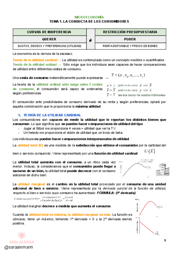 Miniatura del documento MICRO-TEMA-1.pdf