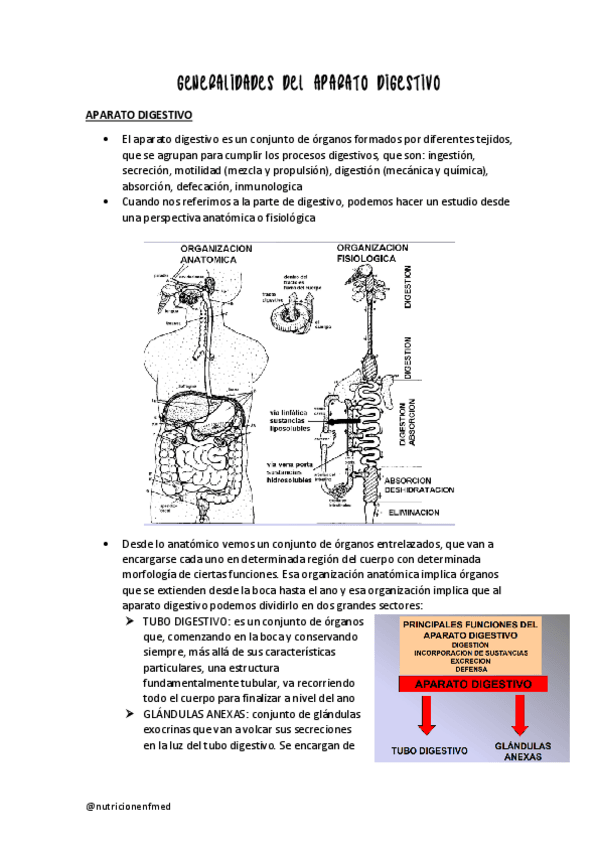 Miniatura del documento GENERALIDADES-APARATO-DIGESTIVO.pdf