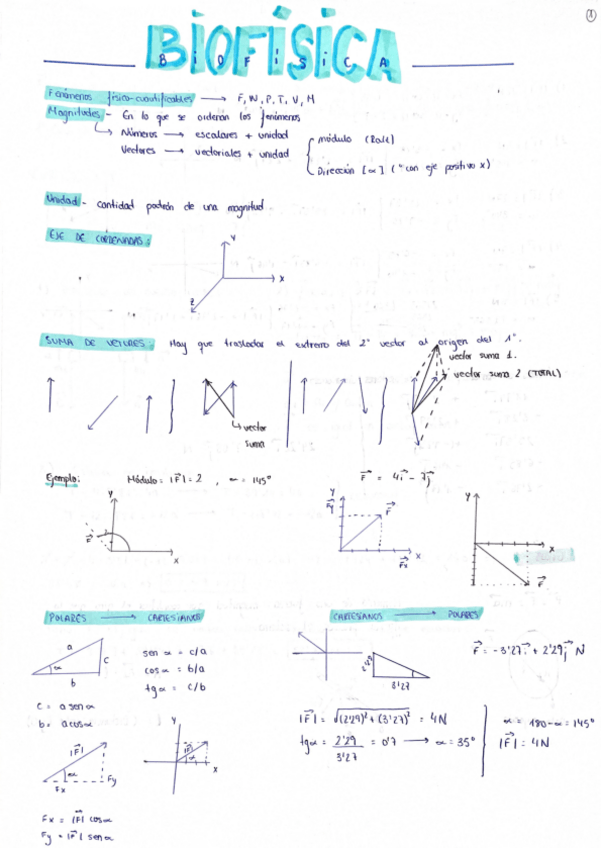 Miniatura del documento TEMARIO-FISICA-COMPLETO.pdf