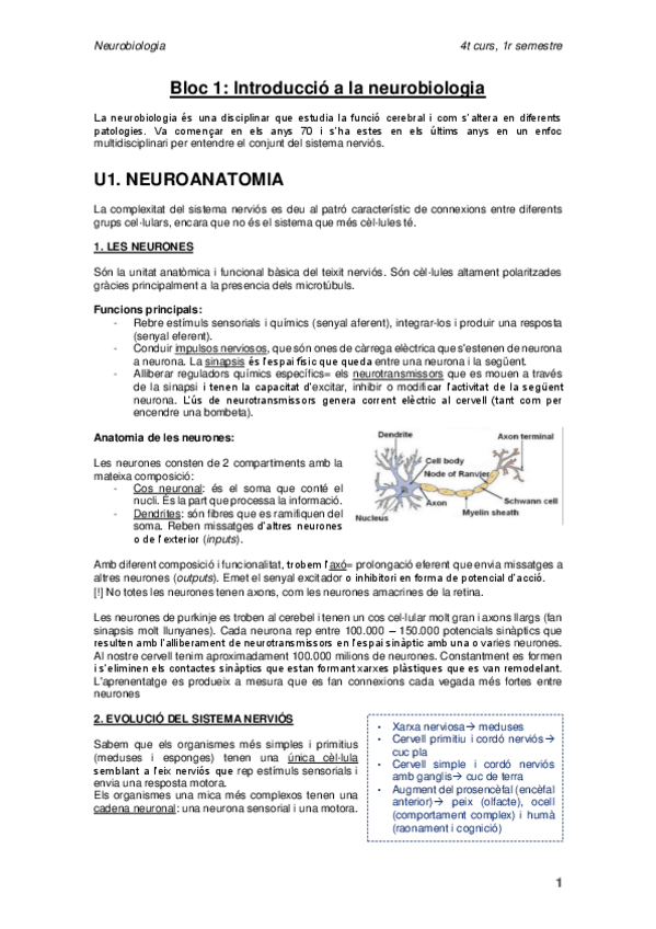 Miniatura del documento IMPRIMIR-PARCIAL-NEURO.pdf