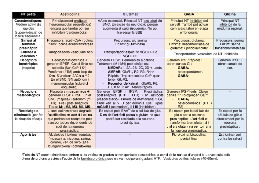 Miniatura del documento NEUROBIO-ESQUEMES-ESTUDI.pdf
