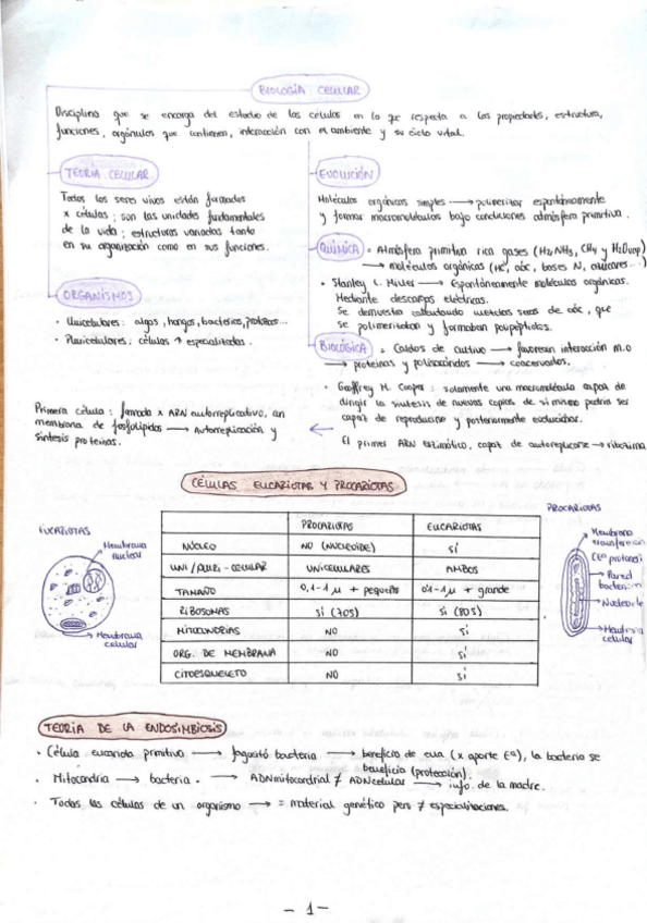 Miniatura del documento TEMARIO-BIOLOGIA-CELULAR-Y-TISULARcompressed.pdf