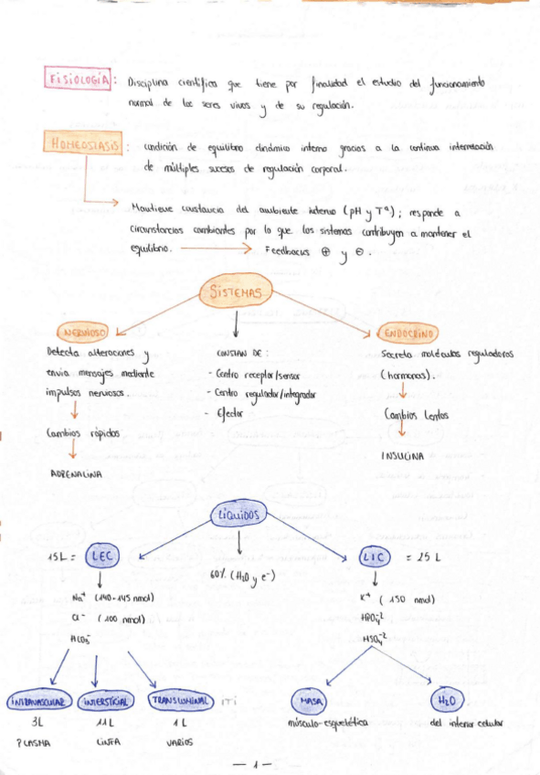 Miniatura del documento TEMARIO-FISIOLOGIA-compressed.pdf