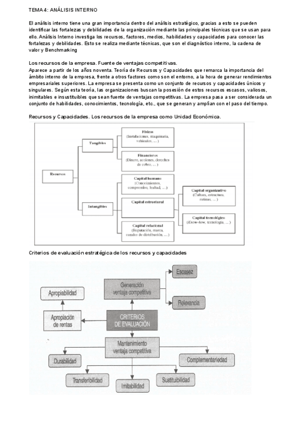 Miniatura del documento TEMA-4-ANALISIS-INTERNO.pdf