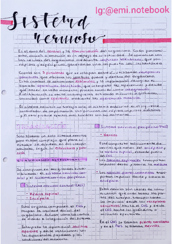Miniatura del documento Sistema-Nervioso.pdf