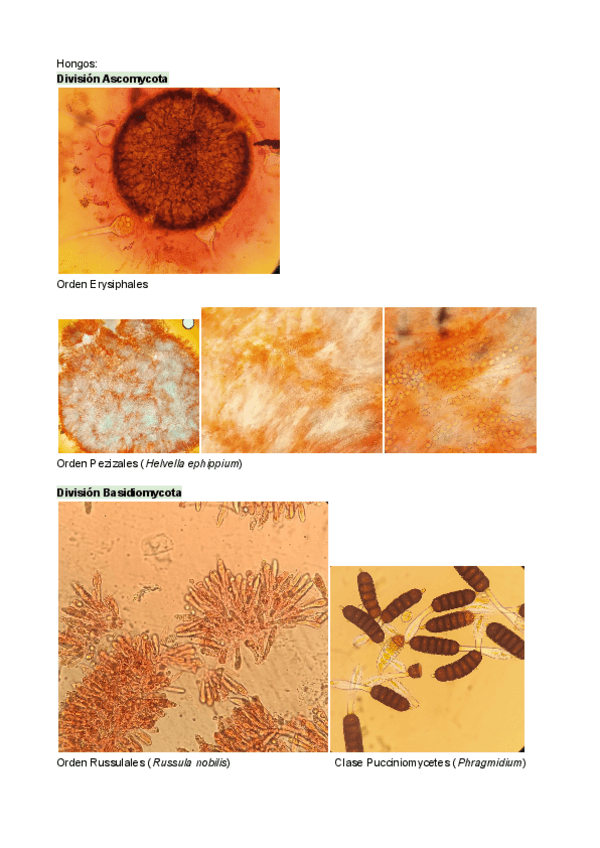 Miniatura del documento Cuaderno-bot.pdf