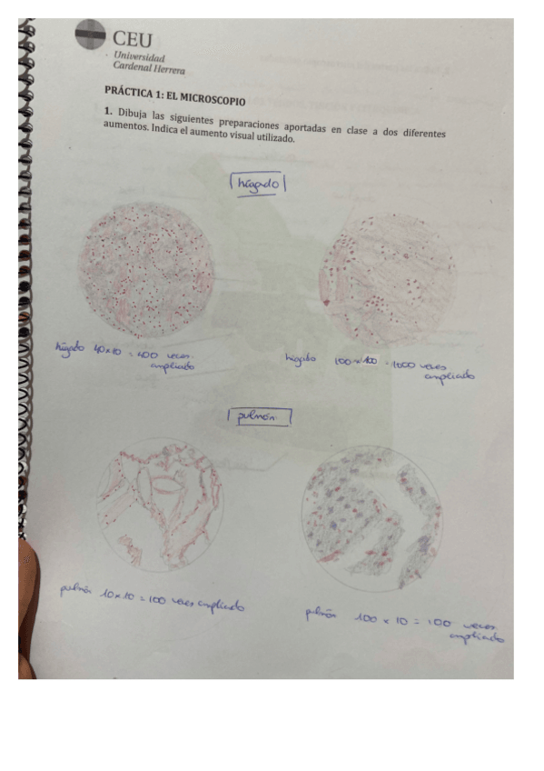 Miniatura del documento cuadernillo-practicas-biologia-pdf.pdf