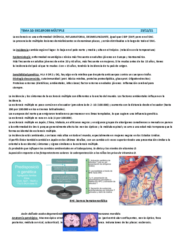 Miniatura del documento esclerosis-multiple.pdf