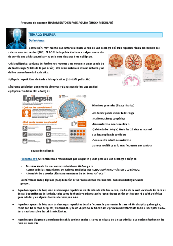 Miniatura del documento epilepsia.pdf