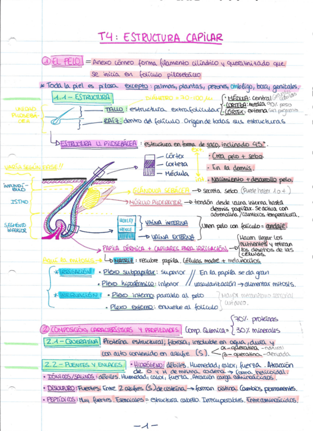 Miniatura del documento T4-dermo-superresumen.pdf