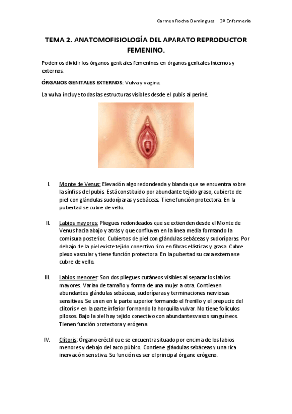 Miniatura del documento TEMA-2-Anatomofisiologia-aparato-reproductor-femenino.pdf