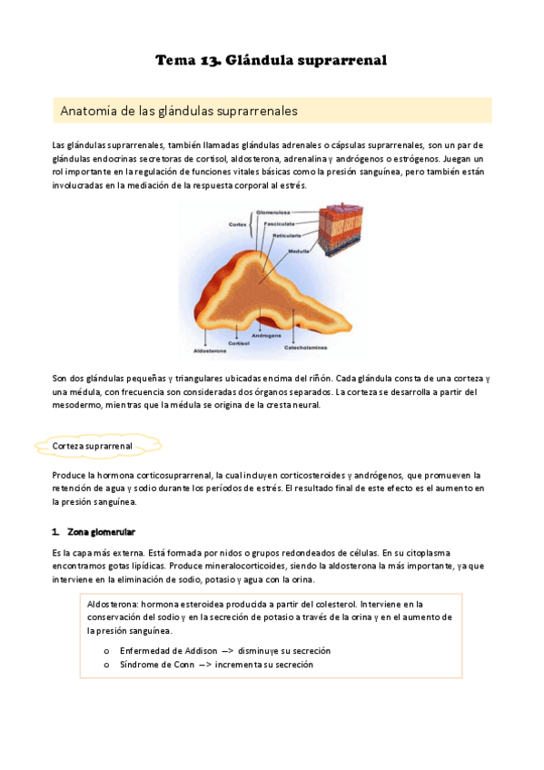 Miniatura del documento Temas-13-15.pdf