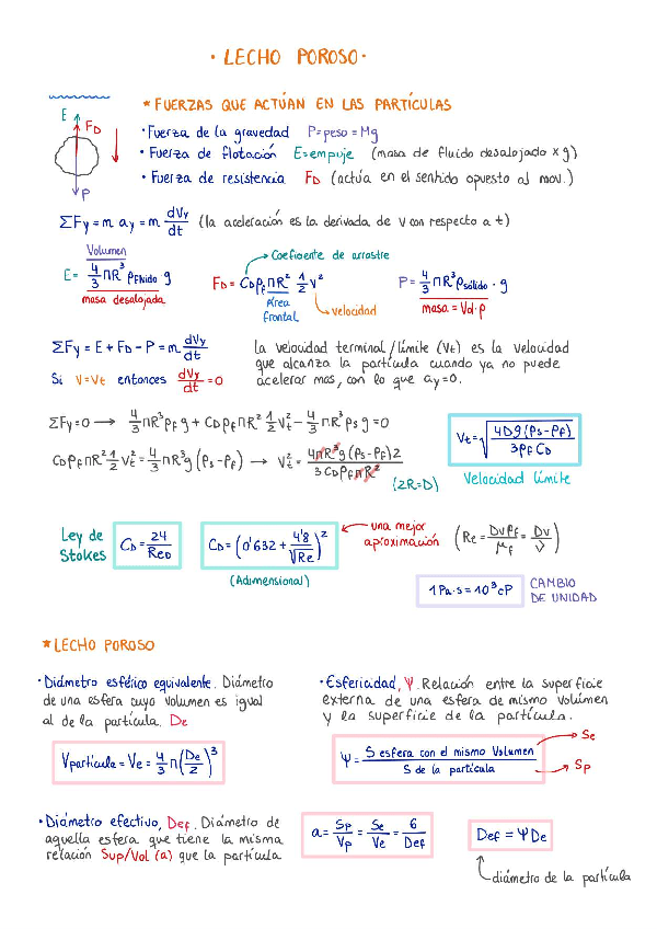 Miniatura del documento T6-Lecho-poroso.pdf