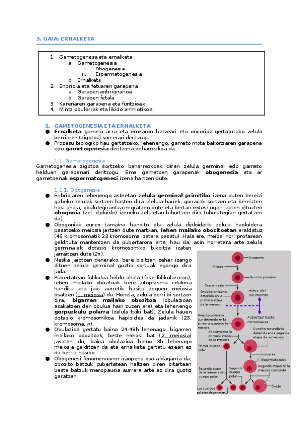 Miniatura del documento 3.-ernalketa.docx