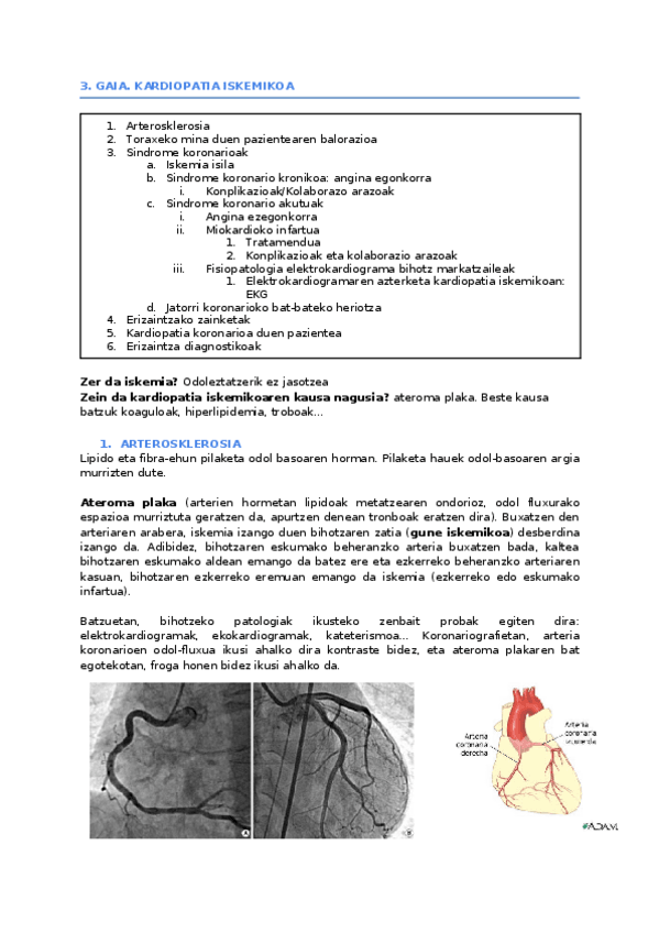 Miniatura del documento 3.-Kardiopatia-iskemikoa.docx