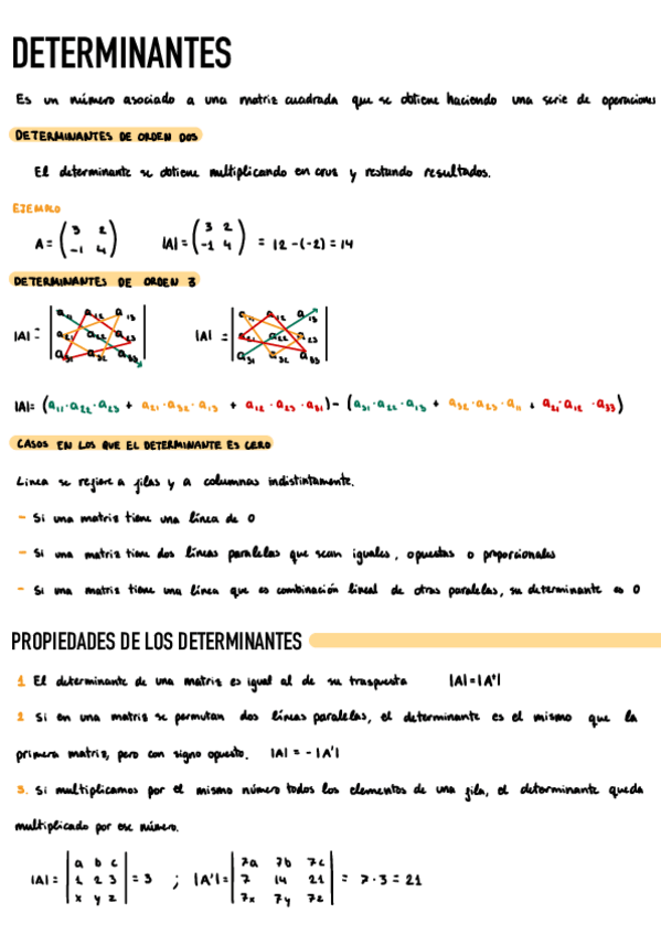 Miniatura del documento Determinantes.pdf