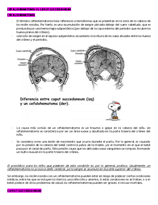 Miniatura del documento PEDIATRIA.pdf