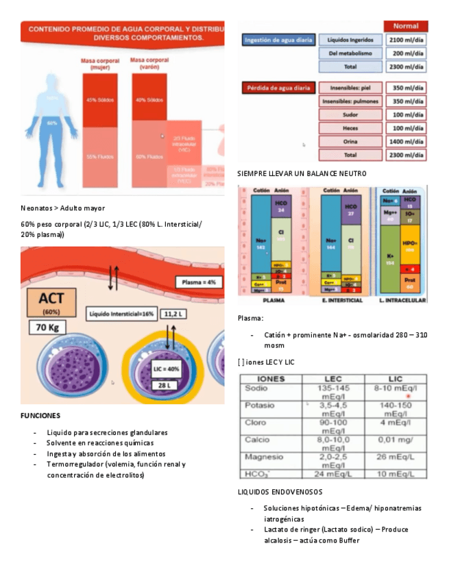 Miniatura del documento LIQUIDOS-Y-ELECTROLITOS.pdf