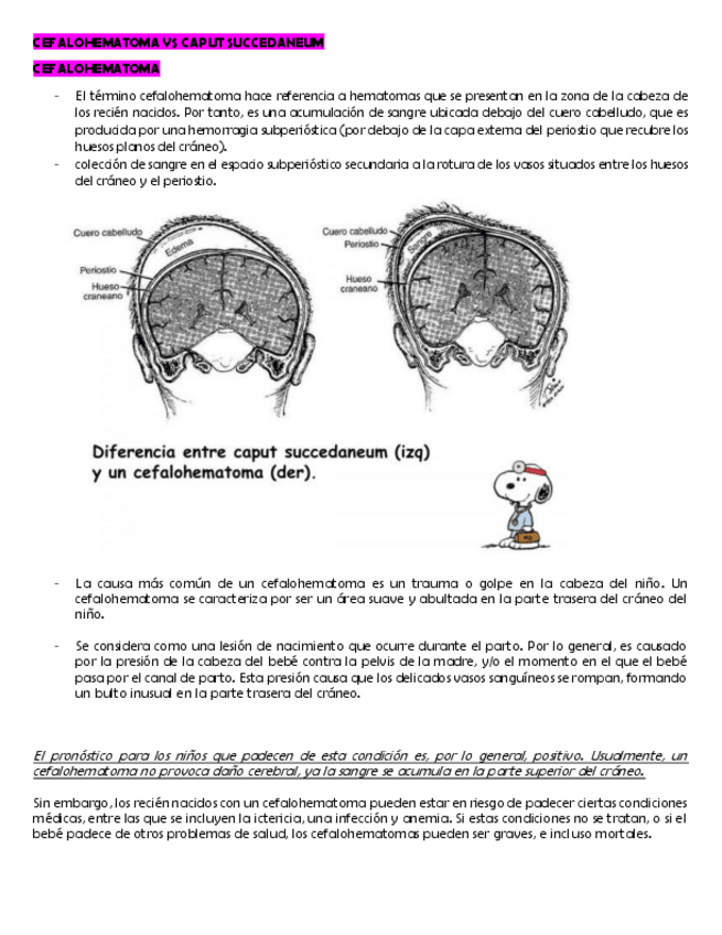 Miniatura del documento CEFALOHEMATOMA-VS-CAPUT-SUCCEDANEUM.pdf