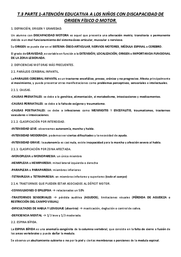 Miniatura del documento RESUMEN-T.pdf