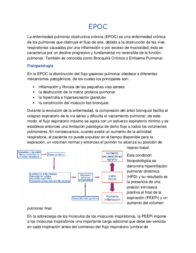 Miniatura del documento EPOC.docx