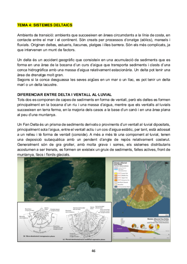 Miniatura del documento sediteoriatema4.pdf