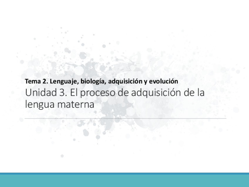 Miniatura del documento T2U321.pdf