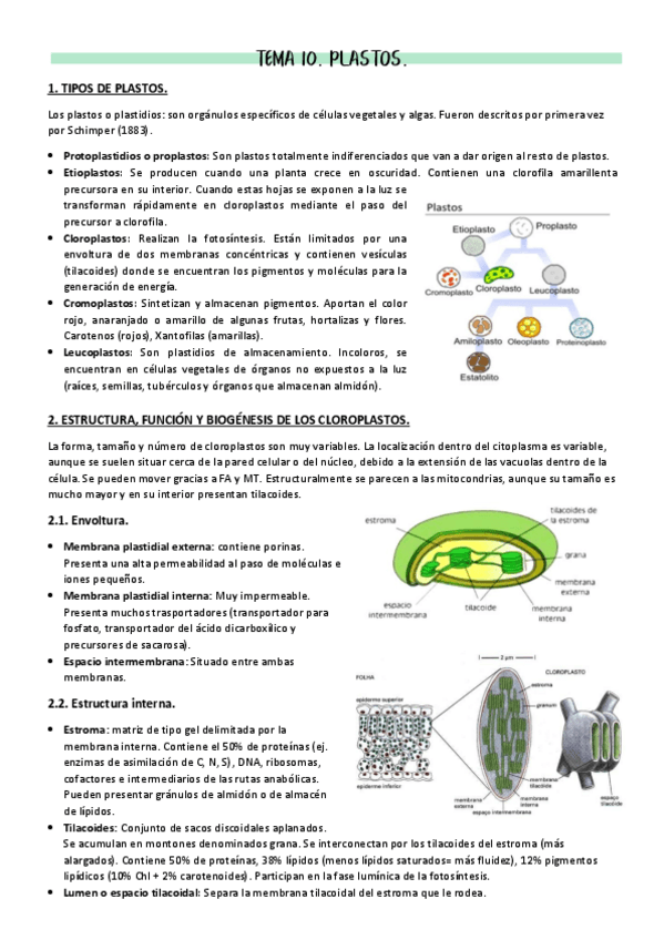 Miniatura del documento Tema-10-PLASTOS.pdf