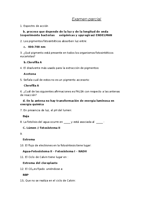 Miniatura del documento Examen parcial.docx