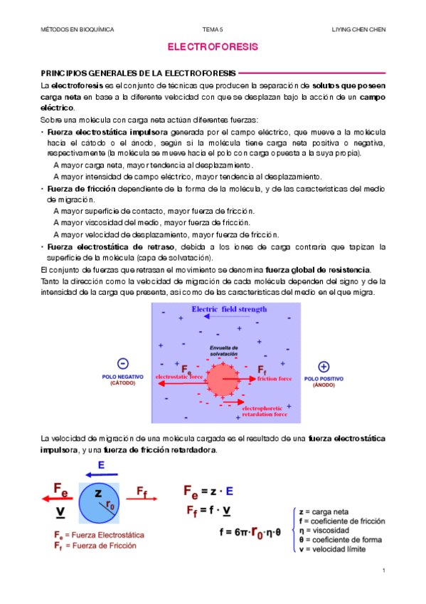 Miniatura del documento TEMA-5.pdf