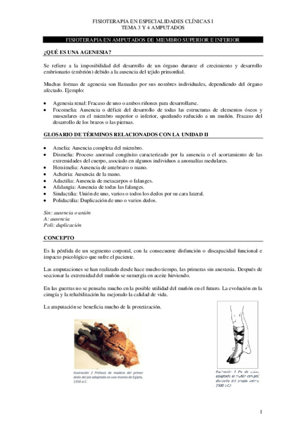 Miniatura del documento T.pdf