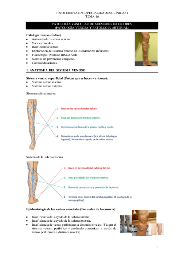Miniatura del documento T.pdf