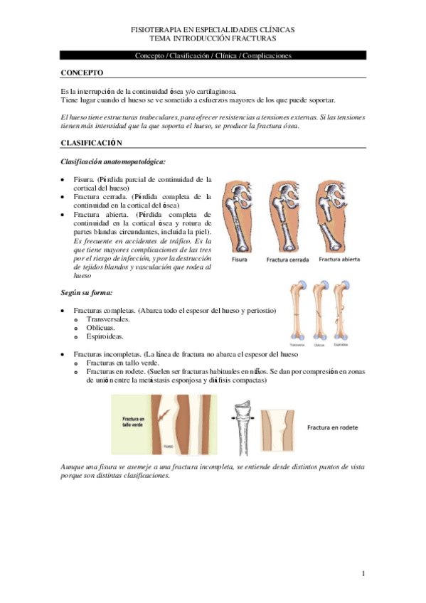 Miniatura del documento T.pdf