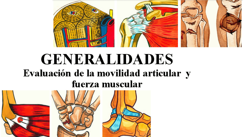 Miniatura del documento GENERALIDADESSEMIOLOGIA-TyO.pdf