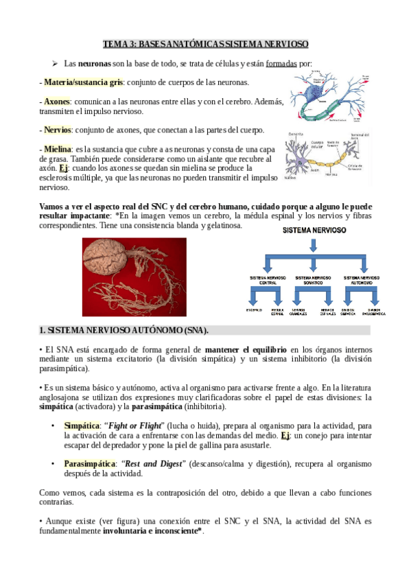 Miniatura del documento Tema-3.pdf