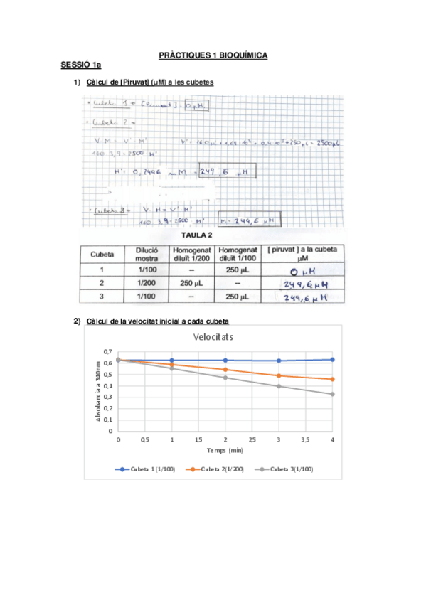 Miniatura del documento Calculs-practiques-Bioquimica.pdf