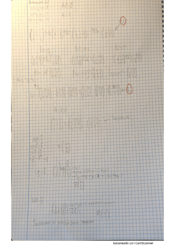Miniatura del documento Tema-5-Factorizacion-LU.pdf
