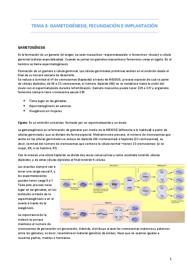 Miniatura del documento TEMA-3.pdf