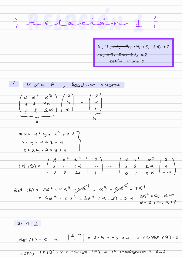 Miniatura del documento Relacion-1.pdf