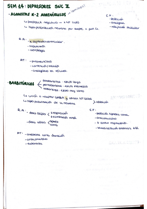 Miniatura del documento Seminario-14-Depresores-SNC-2-copia.pdf