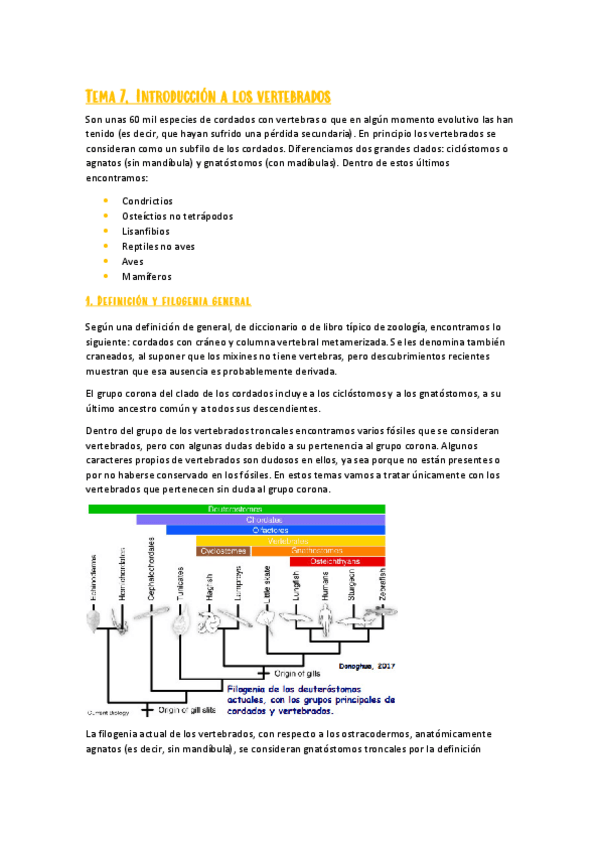 Miniatura del documento Tema-7-Zoologia-I.pdf